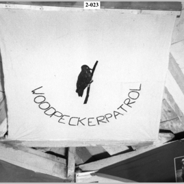 Scouts. Woodpecker Patrol flag.jpg
